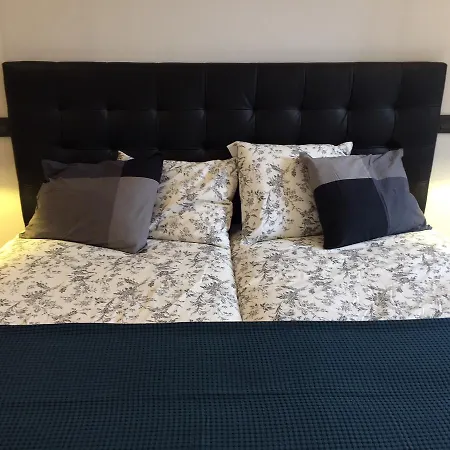 Roger's House 招待所