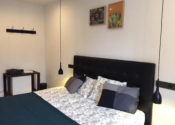 Gasthuis Roger's House San Sebastian